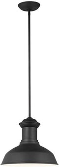 Generation Lighting 6247701-12 Fredricksburg Traditional 1-Light Outdoor Exterior Dark Sky Compliant Ceiling Hanging Pendant in Black Finish