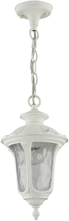 Livex Lighting 7849-07 Oxford 1-Light Outdoor Hanging Lantern Bronze