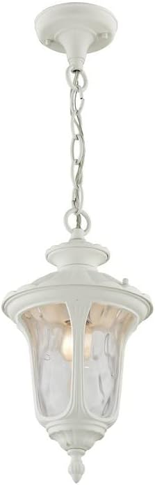 Livex Lighting 7849-07 Oxford 1-Light Outdoor Hanging Lantern Bronze