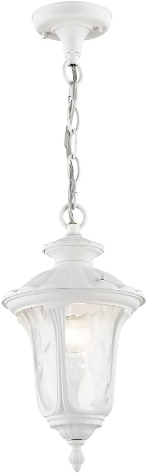 Livex Lighting 7849-07 Oxford 1-Light Outdoor Hanging Lantern Bronze