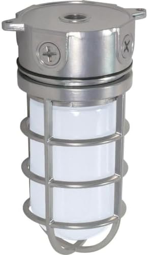 Nuvo Lighting SF76/624 Industrial Style Small Heavy Duty Aluminum Durable Outdoor Close to Ceiling Porch and Patio Light with Frosted Glass Metallic Silver