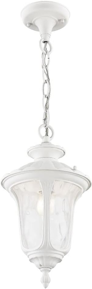 Livex Lighting 7849-07 Oxford 1-Light Outdoor Hanging Lantern Bronze