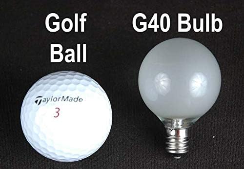 G40 25ft Outdoor Patio Cafe String Lights 25 Clear Globe Bulbs Indoor/Outdoor Black Wire
