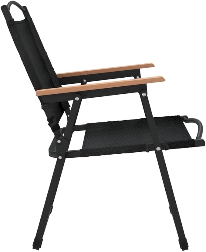 Folding Camping Chairs Set of 2 Black 21.7 x 21.3 x 30.7 in Lightweight Outdoor Chairs for Patio Deck Garden Terrace Portable Picnic Lawn Seating 220 lb Capacity for Beach Camping