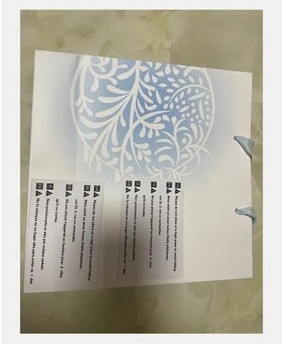 FWZJ Zero Gravity Recliner with Neck Pillow Folding Recliner Adjustable Outdoor Chair Suitable for terraces Swimming Pools etc Camping and Beach Chairs 300kg