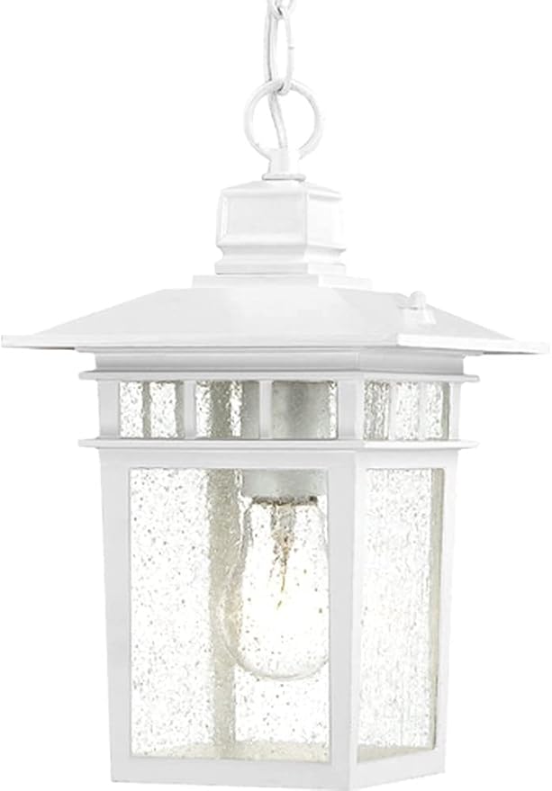 Nuvo Lighting 60/4954 Traditional One Light Hanging Lantern from Cove Neck collection in White finish