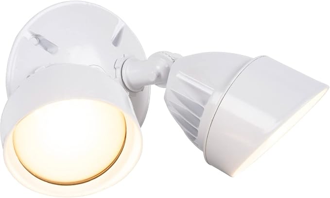 Craftmade LED Flood 2 Light Flood 25w White
