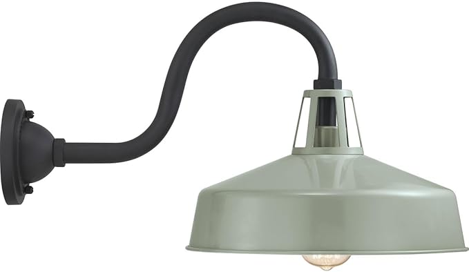 Progress Lighting Cedar Springs Collection 1-Light Farmhouse Outdoor Extra-Large Wall Lantern Light Pistachio