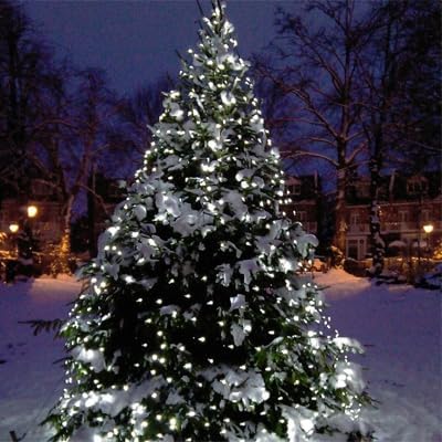 kemooie 500 LED Christmas String Lights 164FT 8 Lighting Mode with Memory Plug in Green Wire Waterproof Lights for Outdoor Indoor Birthday Christmas Wedding Party Garden Balcony Decorations (White)