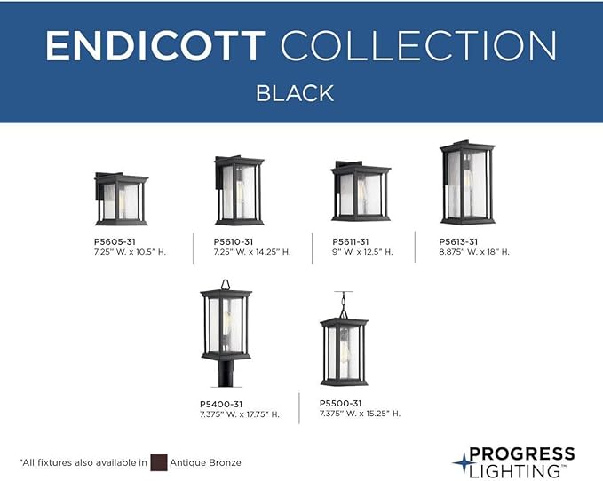 Progress Lighting Endicott Collection 1-Light Clear Seeded Glass Craftsman Outdoor Medium Wall Lantern Light Textured Black
