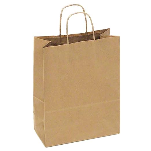 Foodservice Brown Small Delivery Bag w/Handles- 250/CS