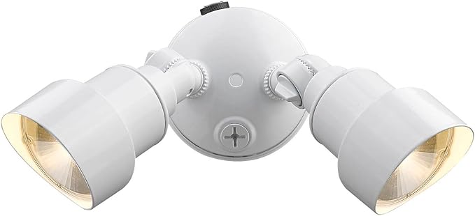 Acclaim LFL2WH LED FloodLights Collection 2-Light Outdoor Light Fixture Gloss White