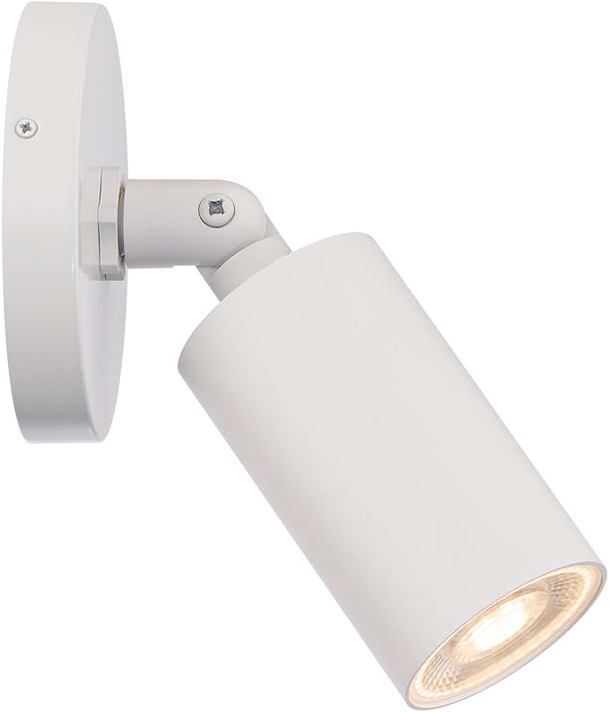 Cylinder LED Single Adjustable Indoor or Outdoor Wall Light 3000K in White