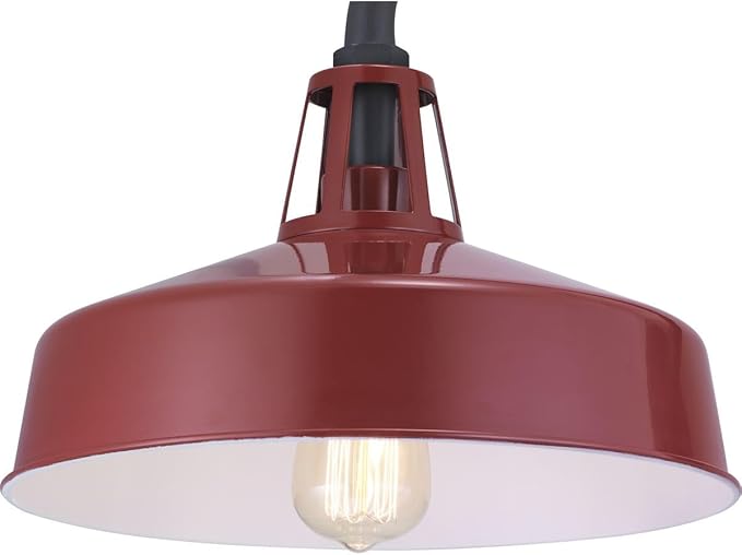 Progress Lighting Cedar Springs Collection 1-Light Farmhouse Outdoor Extra-Large Wall Lantern Light Red