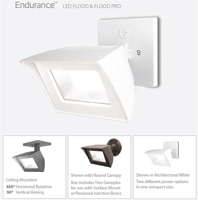WAC Lighting Endurance Flood Energy Star 35W LED Flood Light 5000K in Black