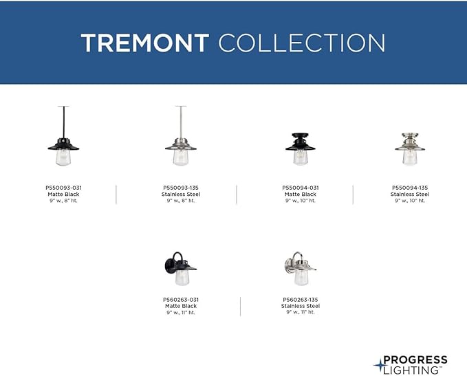 Tremont Collection 1-Light Clear Seeded Glass Stainless Steel Industrial Outdoor Medium Wall Lantern Light