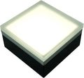 LUMENGY Paver Light 4x4 Inch (3.93x3.93) 5000K Daylight Glare-Free Brick Lighting for Driveways Walkways Pool Decks and Patios 12V Hardwired IP67 Waterproof Drive-Over Rated