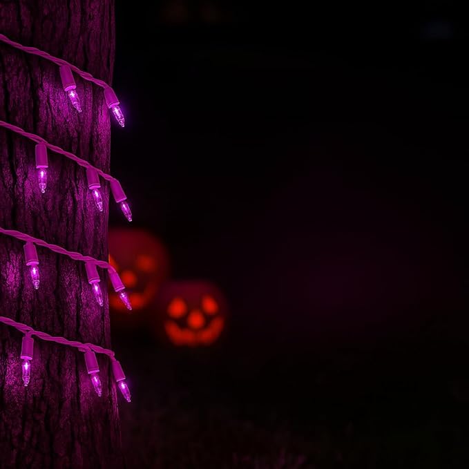 Novelty Lights 50 Feet 100 Bulb Incandescent Mini Light String Purple with 6-Inch Spacing on White Wire UL Listed Commercial Grade Indoor/Outdoor Mini Lights Connectable End-to-End
