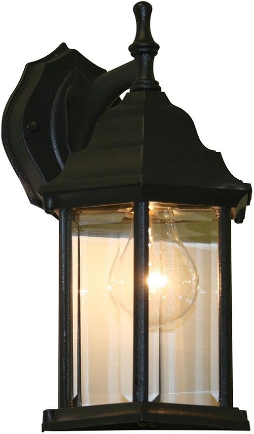 Z-Lite T21BK 1-Light Outdoor Wall Light Clear Beveled Shade