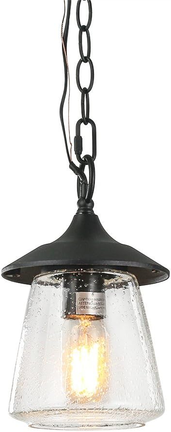 LOG BARN Outdoor Pendant Lights Porch Fixture in Painted Black Metal with Clear Bubbled Glass Globe Hanging Lantern Lamp for Gazebo Entry Yard