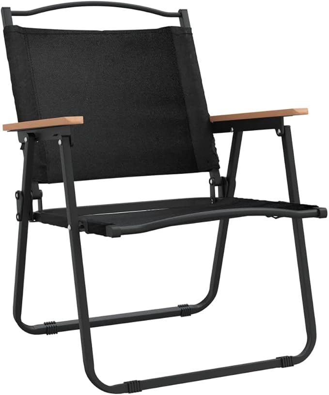 Folding Camping Chairs Set of 2 Black 21.7 x 21.3 x 30.7 in Lightweight Outdoor Chairs for Patio Deck Garden Terrace Portable Picnic Lawn Seating 220 lb Capacity for Beach Camping