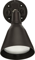 Progress Lighting 1-Light Adjustable Swivel Flood Light Outdoor P5202-20 Antique Bronze