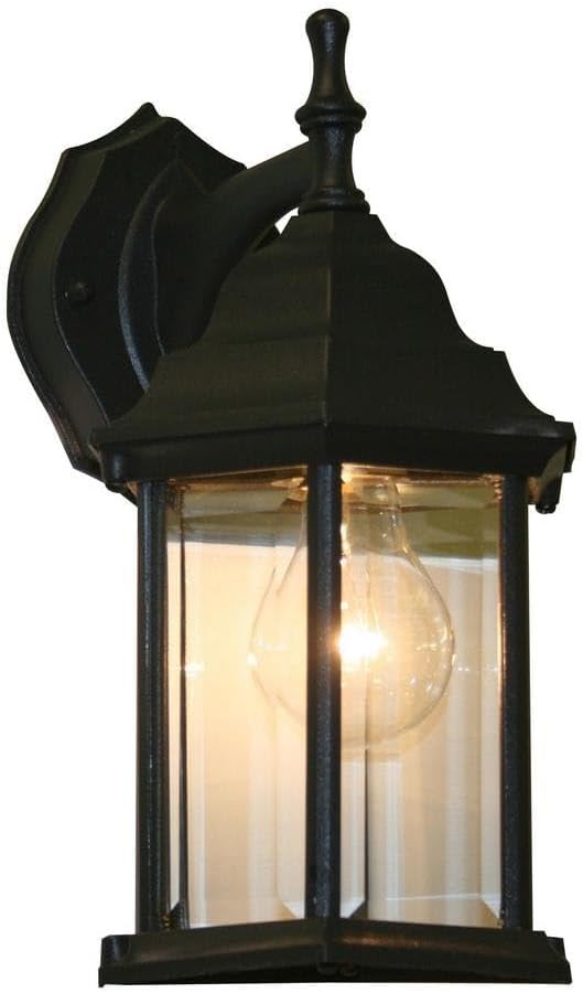 Z-Lite T21BK 1-Light Outdoor Wall Light Clear Beveled Shade