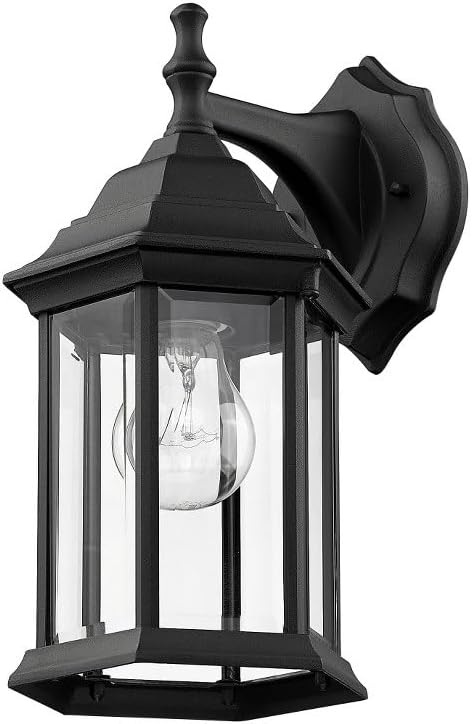 Z-Lite T21BK 1-Light Outdoor Wall Light Clear Beveled Shade
