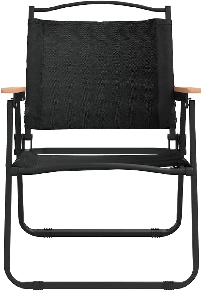Folding Camping Chairs Set of 2 Black 21.7 x 21.3 x 30.7 in Lightweight Outdoor Chairs for Patio Deck Garden Terrace Portable Picnic Lawn Seating 220 lb Capacity for Beach Camping