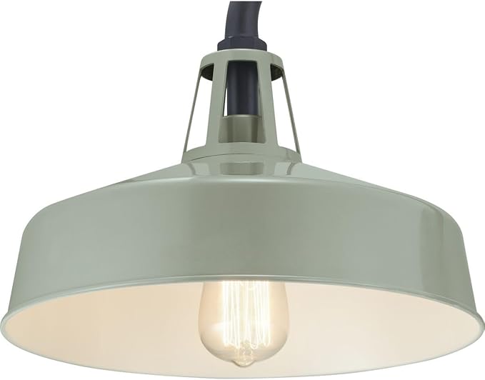 Progress Lighting Cedar Springs Collection 1-Light Farmhouse Outdoor Extra-Large Wall Lantern Light Pistachio