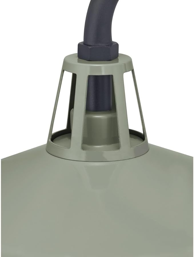 Progress Lighting Cedar Springs Collection 1-Light Farmhouse Outdoor Extra-Large Wall Lantern Light Pistachio