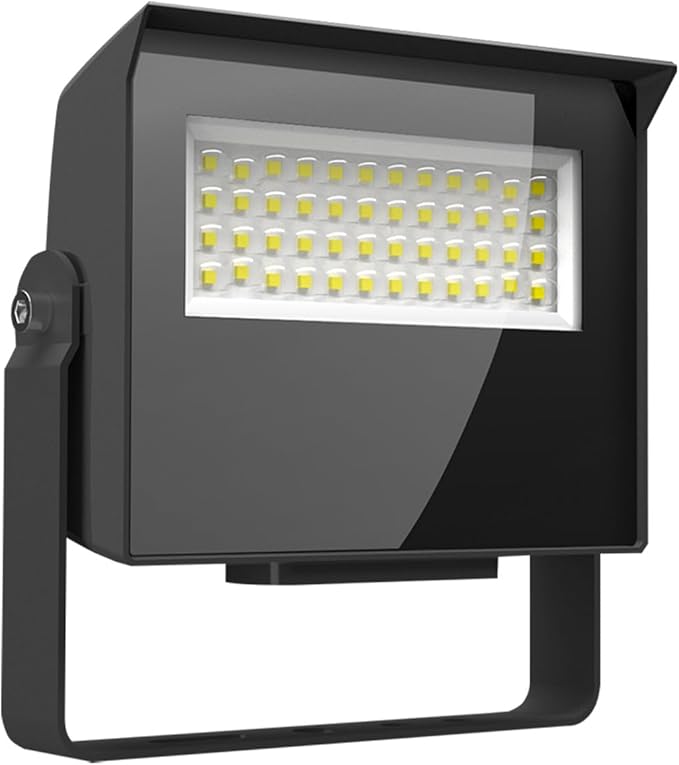 RAB Lighting Adjustable LED Floodlight – Field-Selectable Wattage &amp 3000K/4000K/5000K CCT – IP65 Outdoor Security Light with Knuckle Mount – 120-277V (Medium)