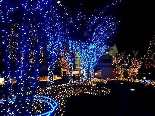 2-Pack Connectable Christmas Lights Outdoor Total 164FT 400LED Christmas String Lights Waterproof with 8 Modes &amp Timer Green Wire Twinkle Lights for Xmas Tree Decorations Outdoor Indoor Blue