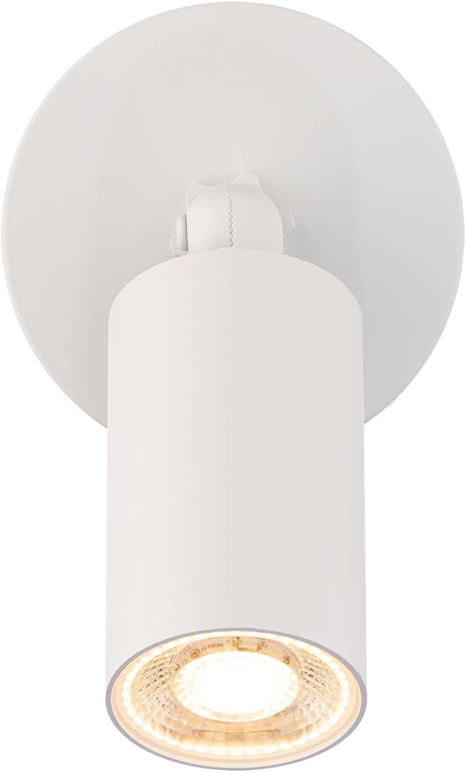 Cylinder LED Single Adjustable Indoor or Outdoor Wall Light 3000K in White