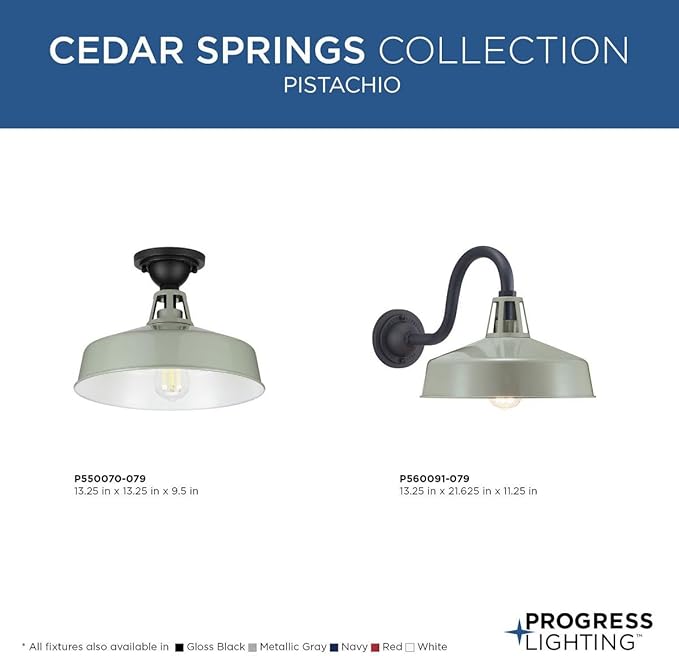 Progress Lighting Cedar Springs Collection 1-Light Farmhouse Outdoor Extra-Large Wall Lantern Light Pistachio