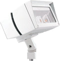 RAB Lighting FFLED39W Future Flood 39W Cool LED 120V/277V White