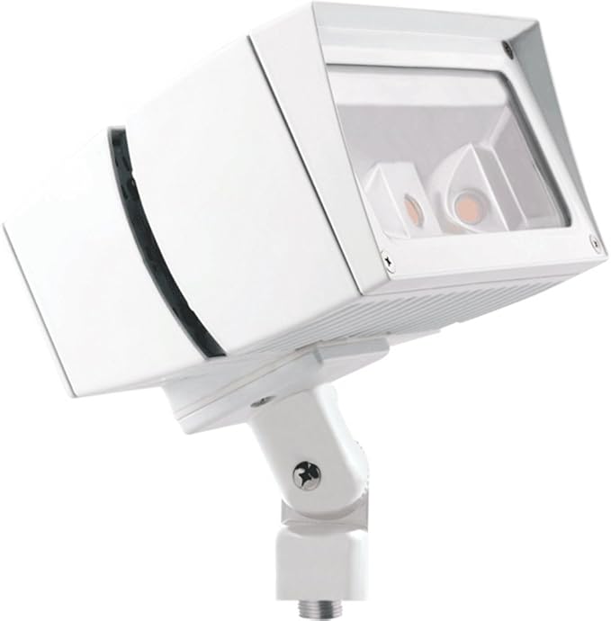 RAB Lighting FFLED39W Future Flood 39W Cool LED 120V/277V White