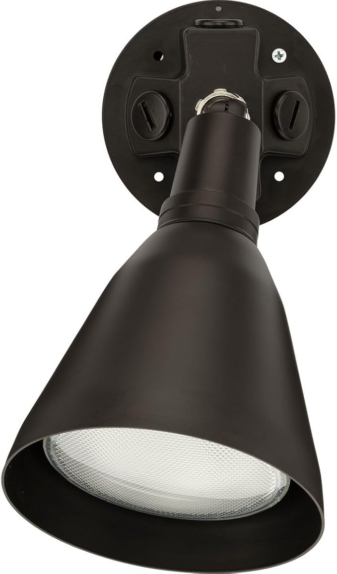 Progress Lighting 1-Light Adjustable Swivel Flood Light Outdoor P5202-20 Antique Bronze
