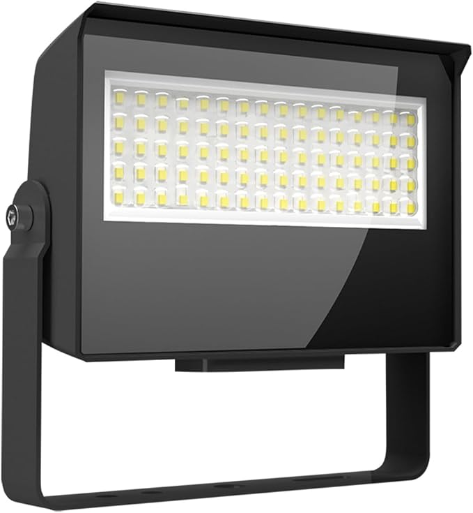 RAB Lighting Adjustable LED Floodlight – Field-Selectable Wattage &amp 3000K/4000K/5000K CCT – IP65 Outdoor Security Light with Knuckle Mount – 120-277V (Small)