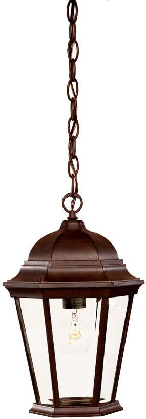 Acclaim 5206BW Richmond Collection 1-Light Outdoor Light Fixture Hanging Lantern Burled Walnut