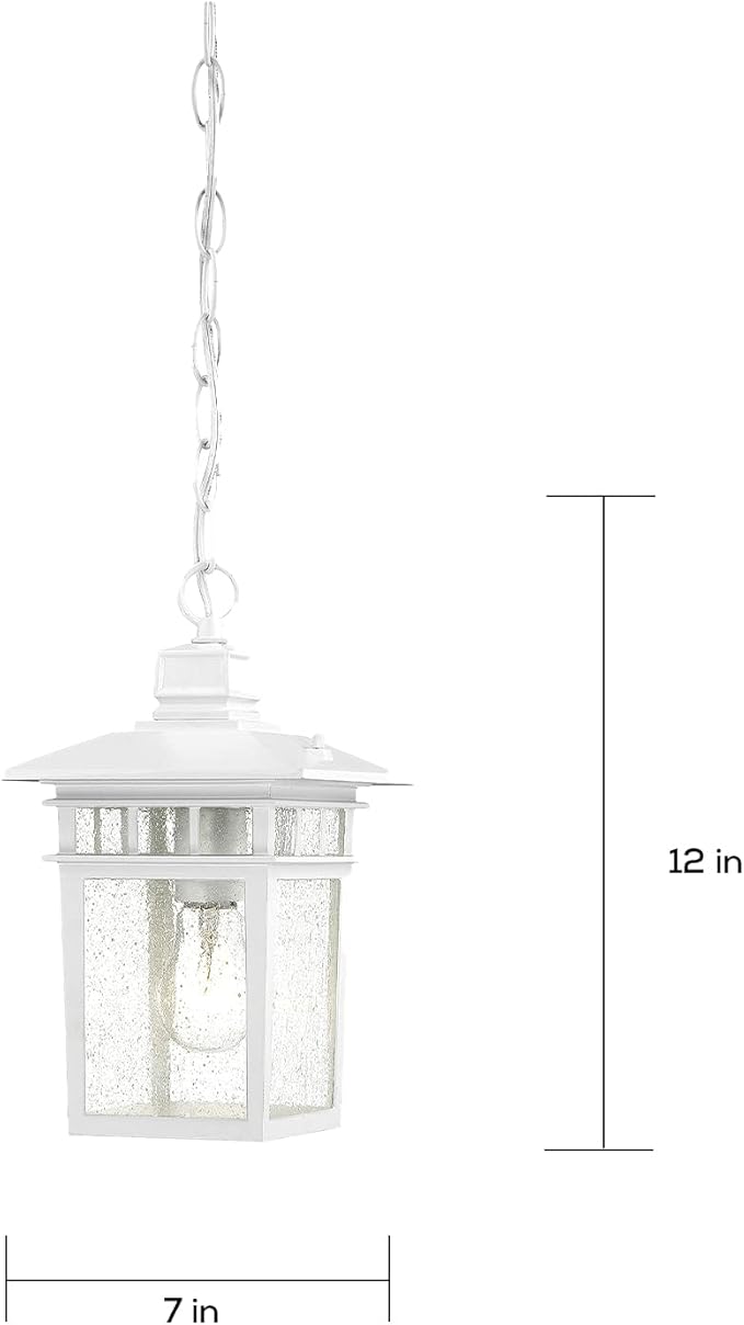 Nuvo Lighting 60/4954 Traditional One Light Hanging Lantern from Cove Neck collection in White finish