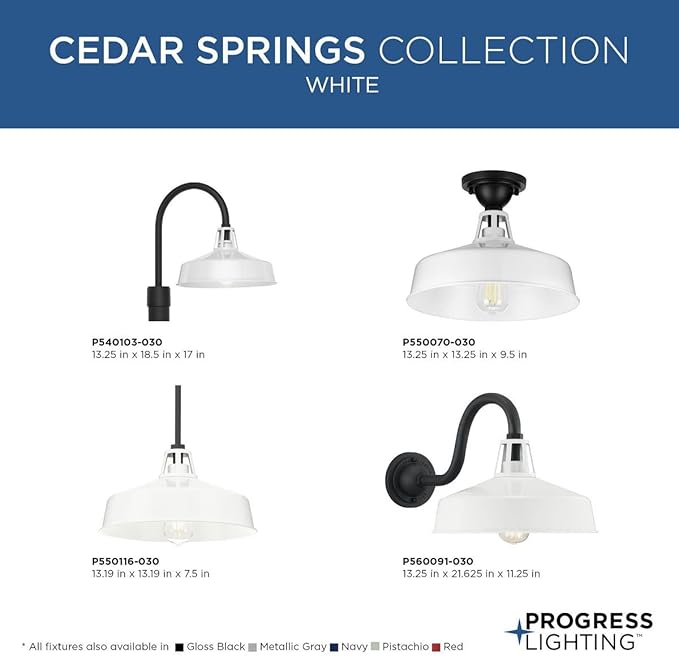 Progress Lighting Cedar Springs Collection 1-Light Farmhouse Outdoor Extra-Large Wall Lantern Light White