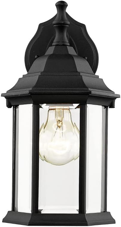 Z-Lite T21BK 1-Light Outdoor Wall Light Clear Beveled Shade
