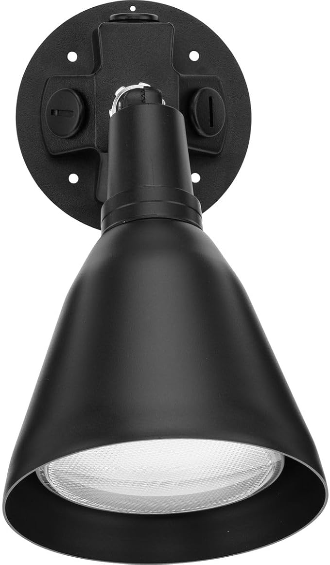 Progress Lighting 1-Light Adjustable Swivel Flood Light Outdoor P5202-31 Black