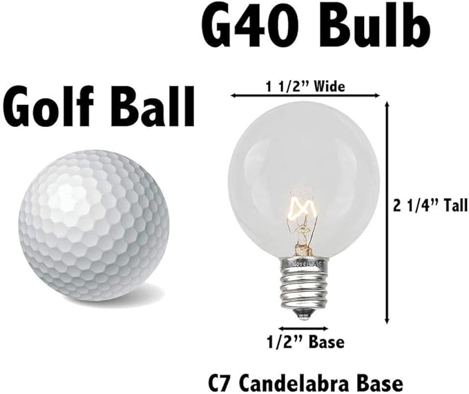 G40 Patio String Lights with 25 Green Globe Bulbs - Hanging Garden String Lights - Vintage Backyard Patio Lights - Outdoor String Lights - Market Cafe String Lights - Green Wire - 25 Foot