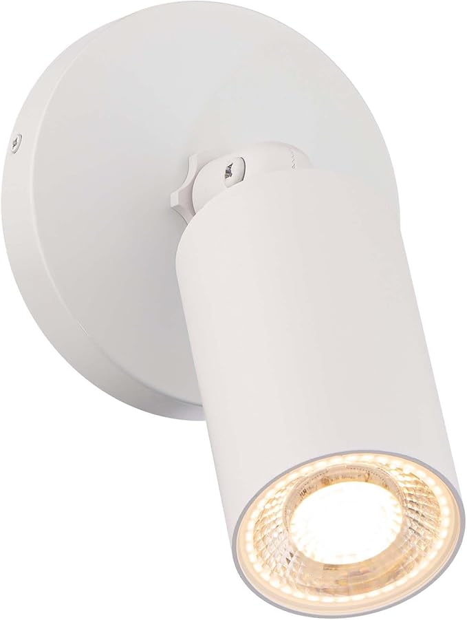 Cylinder LED Single Adjustable Indoor or Outdoor Wall Light 3000K in White