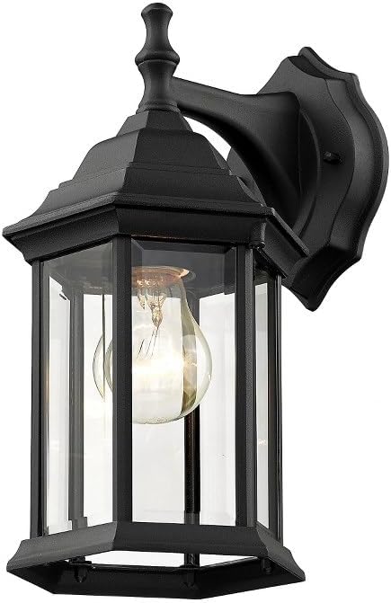 Z-Lite T21BK 1-Light Outdoor Wall Light Clear Beveled Shade
