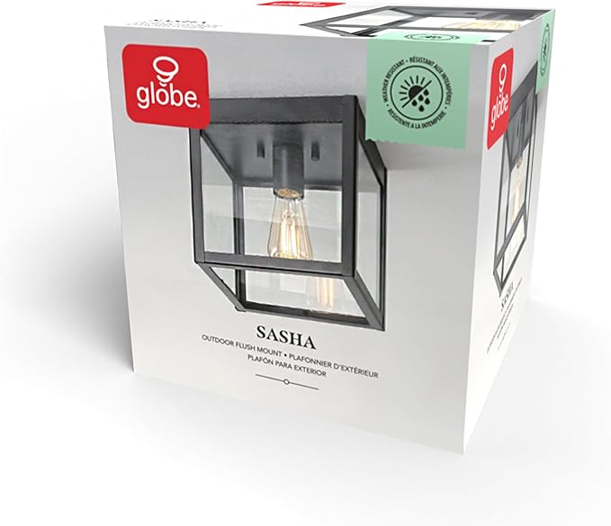 Globe Electric 60000020 1-Light Outdoor Flush Mount Ceiling Light Fixture Matte Black Clear Glass Shade Front Porch Décor Lighting Weather Resistant