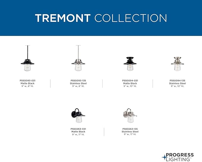 Tremont Collection 1-Light Clear Seeded Glass Stainless Steel Industrial Outdoor Medium Wall Lantern Light