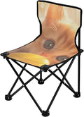 Cute Cat Portable Camping Chairs Folding Chair - Durable Oxford Fabric Lightweight Iron Frame Easy Fold Design - Ideal for Outdoor Activities Camping Fishing and Travel